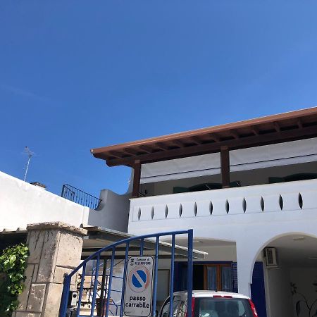 דירות טורה דל'אורסו Il Girasole מראה חיצוני תמונה